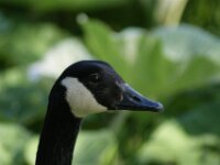 DSC00938