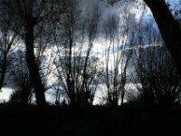 Herfst 06
