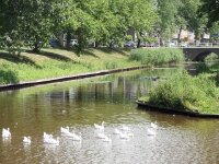Emmeloord KIF 1408