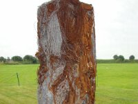 DSC00198