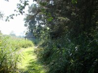 DSC00743