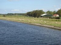 DSC00845