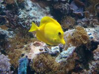 DSC01060 02