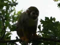 Paradisio 16-07-2008