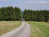 Herfstrit Esch sur Sure 102