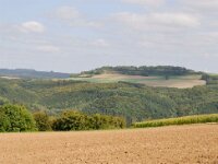 Herfstrit Esch sur Sure 109