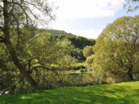 Herfstrit Esch sur Sure 124