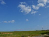 Herfstrit Esch sur Sure 188