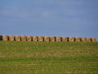 Herfstrit Esch sur Sure 189