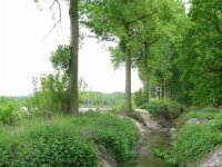 BlauweKei 76