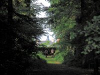 Sterrebos 065