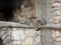 Salou - Hoeve 013