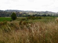 Santes Creus en Poblet - De rit 027
