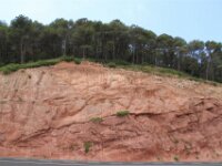 Santes Creus en Poblet - De rit 049