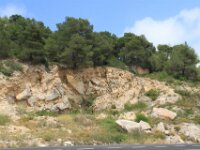 Santes Creus en Poblet - De rit 056