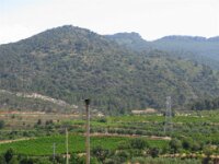 Santes Creus en Poblet - De rit 060