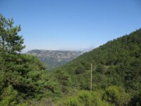 Santes Creus en Poblet - De rit 069
