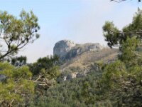 Santes Creus en Poblet - De rit 079