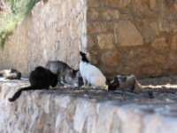 Tarragona - Wandeling door de stad 077