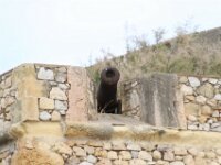 Tarragona - Wandeling door de stad 142