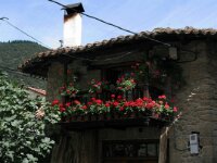 Potes 005