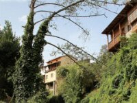 Potes 049