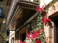 Comillas 042