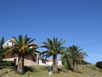 Comillas 049