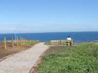 Comillas 082