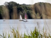 IMG 4468