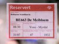 Norway day 6 Voss-Myrdal-Flam(Bahn) 011