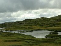 Norway day 7 Hardangervidda 000