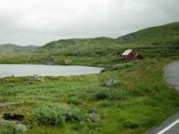 Norway day 7 Hardangervidda 005