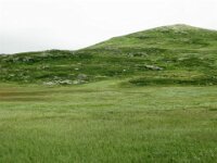 Norway day 7 Hardangervidda 007