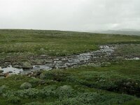Norway day 7 Hardangervidda 011