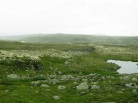 Norway day 7 Hardangervidda 012