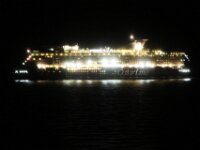 The Cruise