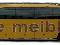 Meibloembus