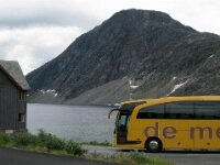 Norway Meibloembus (6)