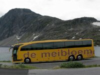 Norway Meibloembus (7)