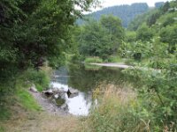 IMG 4580