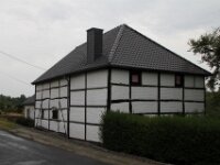 IMG 4620