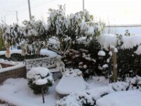 Sneeuwwandeling Tielt Poelberg 005