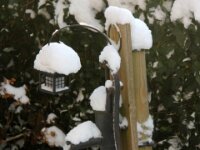 Sneeuwwandeling Tielt Poelberg 006