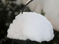 Sneeuwwandeling Tielt Poelberg 007