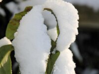 Sneeuwwandeling Tielt Poelberg 017