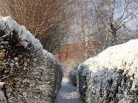 Sneeuwwandeling Tielt Poelberg 018