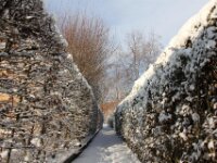 Sneeuwwandeling Tielt Poelberg 019