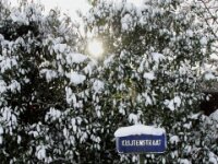 Sneeuwwandeling Tielt Poelberg 045