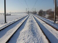 Sneeuwwandeling Tielt Poelberg 058